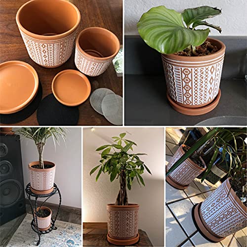 Set of 2 Terracotta Pots, 4 Inch & 6 Inch, Planter Pots for Plants with Drainage Holes and Saucers, Terracotta/White, Small, 31-958-A-1 - NbuFlowers