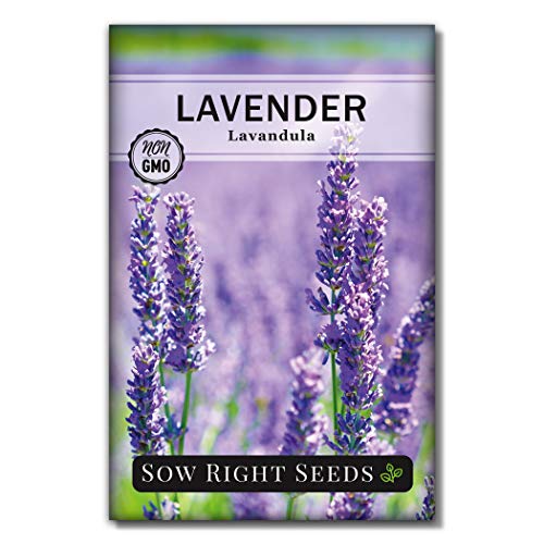 Sow Right Seeds - Herbal Tea Collection - Lemon Balm, Chamomile, Mint, Lavender, Echinacea Herb Seed for Planting; Non-GMO Heirloom Seed, Instructions to Plant Indoor or Outdoor; Great Gardening Gift - NbuFlowers