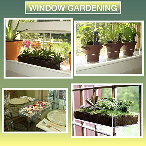 Window Garden – Microgreen Tray, Made of Beautiful Acrylic. Includes Fiber Soil and Spray Bottle. Grow Seeds to Fresh Greens, Growing Microgreens, Wheatgrass Succulents with Style. (1 Pack). - NbuFlowers