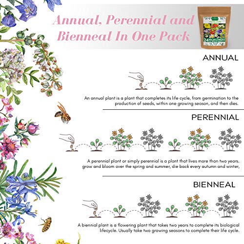 Wildflower Seeds | Bulk Mix of 24 Different Varieties of Non-GMO Wildflower Seeds 3oz | Bee and Butterfly Garden Seeds | Colorful Perennial Flower Seeds | American Wildflower Seeds for Your Garden - NbuFlowers