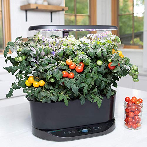 AeroGarden Bounty Indoor Hydroponic Herb Garden, Black - NbuFlowers