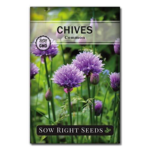 Sow Right Seeds - Herb Garden Seed Collection - Basil, Chives, Cilantro, Parsley, and Oregano Seeds for Planting; 5 Individual Packets - NbuFlowers