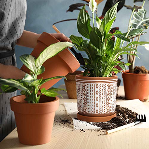 Set of 2 Terracotta Pots, 4 Inch & 6 Inch, Planter Pots for Plants with  Drainage