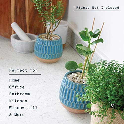 Carlton Lane Valencia - Ceramic Indoor Flower Pots for Plants – Indoor Garden Planters with Drainage Holes – Set of 2 - Beautiful Small Plant Pots - Teal - NbuFlowers