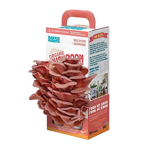 Back to the Roots Organic Pink Grow Kit, Harvest Gourmet Oyster Mushrooms - NbuFlowers