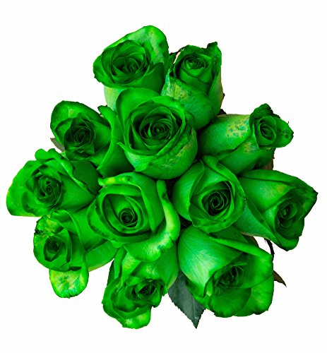 Green rose flower