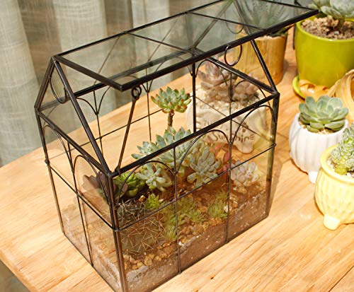 Vertical Terrarium  Plant pot diy, Succulent terrarium, Air plant