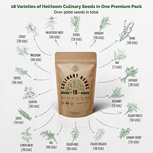 18 Culinary Herbs Seeds Variety Pack - Heirloom, NON-GMO, Herbs Seeds for Planting Outdoor and Indoor - Home Gardening. Over 5000+ seeds including Rosemary, Thyme, Oregano, Mint, Basil, Parsley & More - NbuFlowers