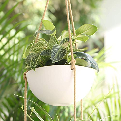 Ceramic Hanging Planter