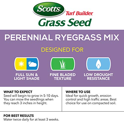 Scotts Turf Builder Grass Seed Perennial Ryegrass Mix, 7.lb. - Full Sun and Light Shade - Quickly Repairs Bare Spots, Ideal for High Traffic Areas and Erosion Control - Seeds up to 2,900 sq. ft. - NbuFlowers