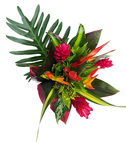 BloomsyBox - Tropical Bouquet Treasure with Bright Heliconias, Pink Ginger and Tropical Greenery - NbuFlowers