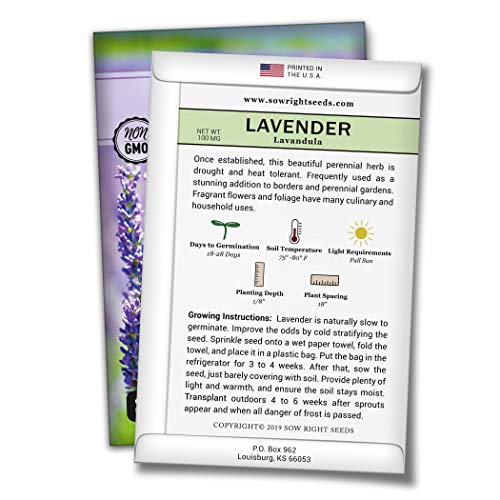 Sow Right Seeds - Lavender Seeds for Planting; Non-GMO Heirloom Seeds with Instructions to Plant and Grow a Beautiful Indoor or Outdoor herb Garden; Great Gardening Gift - NbuFlowers