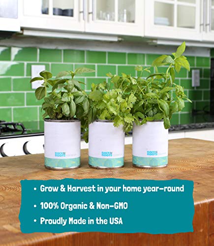 Back to the Roots New Kitchen Garden Complete Herb Kit Variety Pack of Basil, Mint, and Cilantro Seeds - NbuFlowers