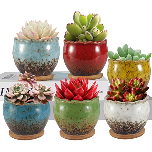 zoutog succulent pots Succulent Pots, ZOUTOG 4 inch Colorful Ceramic Flower Pots, Succulent Planters with Drainage Hole and Bamboo Plant Saucers