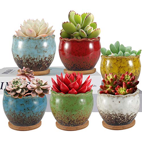 Succulent Pots, ZOUTOG 4 inch Colorful Ceramic Flower Pots, Succulent Planters with Drainage Hole and Bamboo Plant Saucers - NbuFlowers
