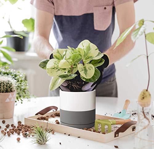 thumbnail interactive-video image 1 of VICASKY 3pcs Plastic Planters Drainage Holes Of Indoor 1 of 13