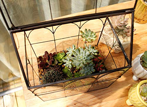 ElegantLife Succulent Terrarium，House Shape Handmade Succulent Pot  With Top Swing Lid Planter Case For Fern Moss, Cacti, Air Plants (No Plant Included) - NbuFlowers