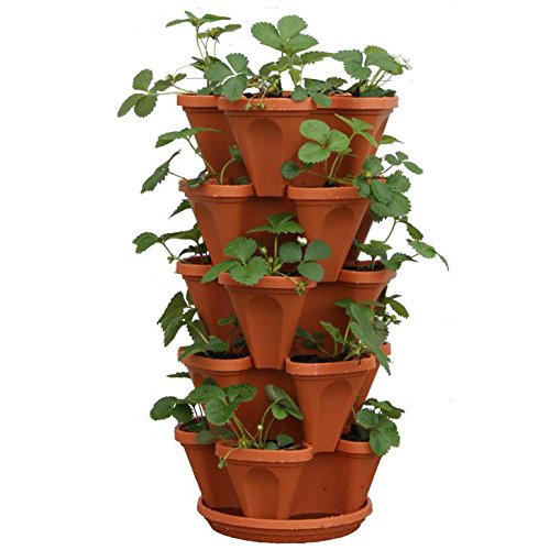 Mr. Stacky 5-Tier Strawberry Planter Pot, 5 Pots - NbuFlowers