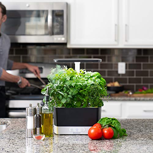 hydroponic herb garden