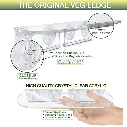 Window Garden Veg Ledge - Window Shelf for Plants, Clear Acrylic Shelves -  Suction Cup Indoor Plant Holder - Glass Window Sill Extender for