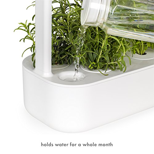 Click and Grow Smart Garden 9 Indoor Home Garden (Includes 3 Mini Tomato, 3 Basil and 3 Green Lettuce Plant pods), Gray - NbuFlowers