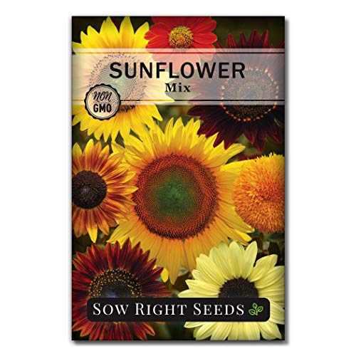 Sow Right Seeds - Large Full-Color Packet of Mixed Sunflower Seed to Plant - Non-GMO Heirloom - Instructions for Planting - Wonderful Gardening Gift (1) - NbuFlowers