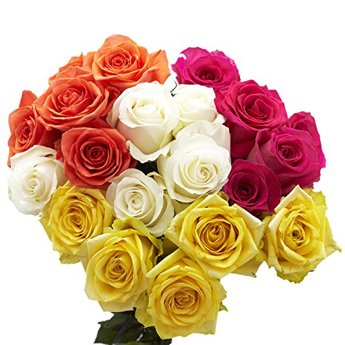 50 Assorted Roses- Two Colors- Fresh Flowers Delivery - NbuFlowers