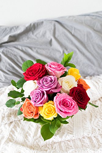Flowers - One Dozen Rainbow Roses (Free Vase Included) - NbuFlowers