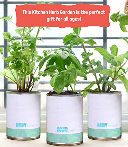 Back to the Roots New Kitchen Garden Complete Herb Kit Variety Pack of Basil, Mint, and Cilantro Seeds - NbuFlowers