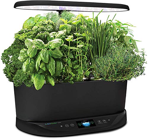 AeroGarden Bounty Indoor Hydroponic Herb Garden, Black - NbuFlowers