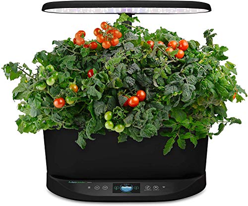 AeroGarden Bounty Indoor Hydroponic Herb Garden, Black - NbuFlowers