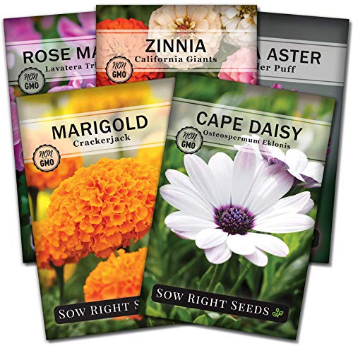 Sow Right Seeds - Flower Seed Garden Collection for Planting - 5 Packets Includes Marigold, Zinnia, Rose Mallow, Cape Daisy, and Aster - Wonderful Gardening Gift - NbuFlowers