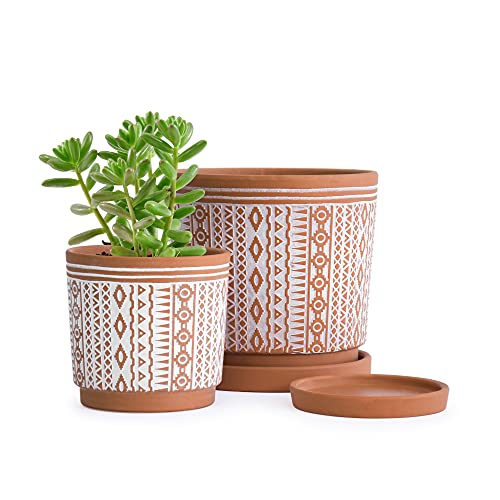 Set of 2 Terracotta Pots, 4 Inch & 6 Inch, Planter Pots for Plants with Drainage Holes and Saucers, Terracotta/White, Small, 31-958-A-1 - NbuFlowers