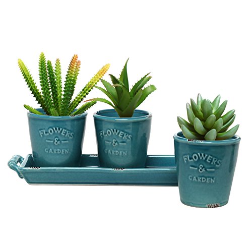 MyGift Handcrafted Farmhouse Galvanized Metal Plant Pot Set, Small Bucket Succulent Planter and Removable Display Tray with Handles - Handmade in