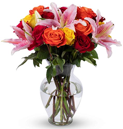 Benchmark Bouquets Big Blooms, With Vase (Fresh Cut Flowers) - NbuFlowers