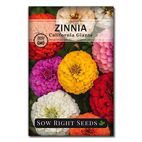 Sow Right Seeds Flower Garden Seed Collection