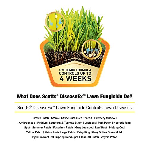 Scotts DiseaseEx Lawn Fungicide - Fungus Control, Fast Acting, Treats up to 5,000 sq. ft., 10 lb. - NbuFlowers