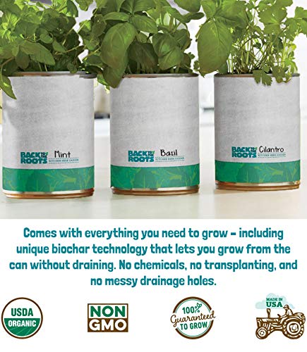 Back to the Roots New Kitchen Garden Complete Herb Kit Variety Pack of Basil, Mint, and Cilantro Seeds - NbuFlowers