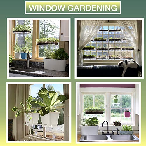 Window Garden Double Veg Ledge– Window Shelf for Plants. Low Profile, Quality Acrylic. Large Strong and Reliable Suction Cups. Window Sill Extender for Microgreens Kit, Seed Starter, Pots, Planters. - NbuFlowers