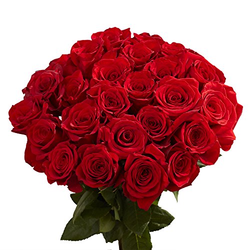 50 Red Roses- Fresh Cut Flowers- Next Day Delivery - NbuFlowers