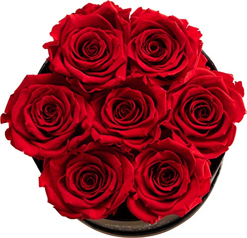 Soho Floral Arts | Real Roses That Last a Year and More | Fresh Flowers | Eternal Roses in a Box (Red: 7 X-Large Roses) - NbuFlowers