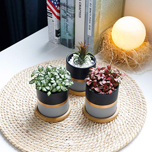 Succulent Planters Pots for Plants Indoor - 3.1 Inches Ceramic Small Planters with Bamboo Saucer for Plants Succulent Cactus House Office Decor(POTEY 055401, 3 PCS, Plant NOT Included) - NbuFlowers