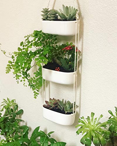 Mkono Ceramic Hanging Planter 3 Tier Indoor Wall Plant Holder for Succulent Herb Air Plant Live or Faux Plants Modern Vertical Garden , Rectangular - NbuFlowers