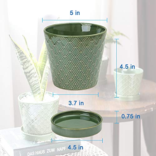 BUYMAX Plant Pots Indoor –5 inch Ceramic Flower Pot with Drainage Hole and Ceramic Tray - Gardening Home Desktop Office Windowsill Decoration Gift, Set of 4 - Plants NOT Included (Patina) - NbuFlowers