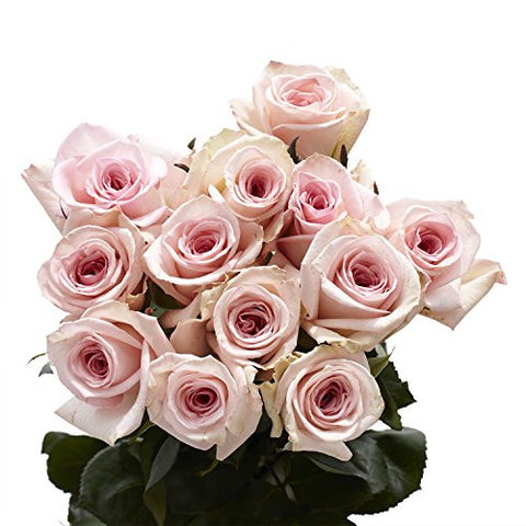 Pink Roses - Fresh Flower Delivery- 50 Lovely Stems - NbuFlowers