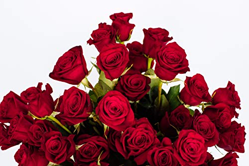 Benchmark Bouquets 50 Red Roses Farm Direct (Fresh Cut Flowers) - NbuFlowers