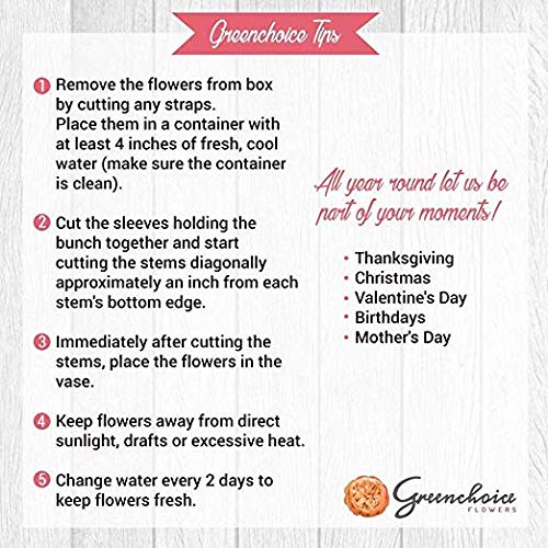 Greenchoice Flowers | 24 Yellow Roses Fresh Cut Flowers | Fresh Bulk Flowers | Birthday Flowers | (2 Dozen) - 20 inch Long Stem Flower Cut Direct from Farm… - NbuFlowers