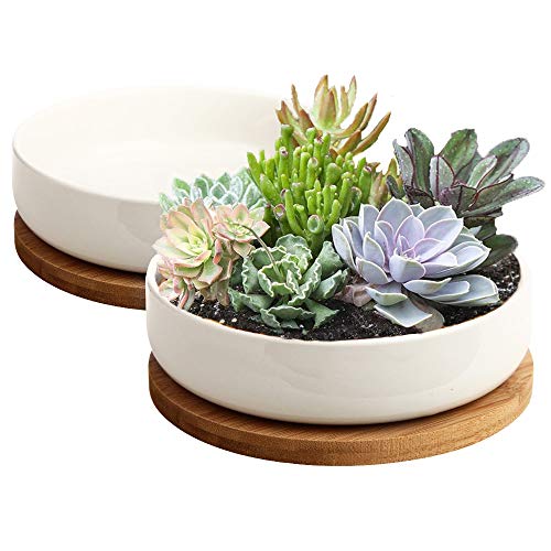 Succulent Pots, ZOUTOG 6 inch White Ceramic Flower Planter Pot with Bamboo Tray, Pack of 2 - Plants Not Included - NbuFlowers
