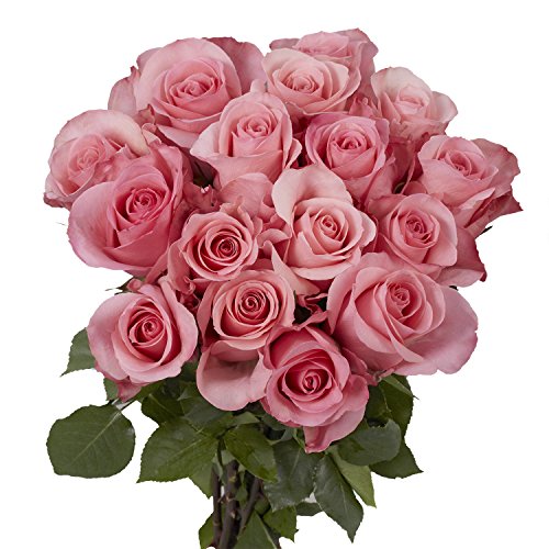 Pink Roses - Fresh Flower Delivery- 50 Lovely Stems - NbuFlowers