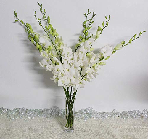 Athena's Garden Fresh Cut White Orchids Bunch with Glass Vase - NbuFlowers